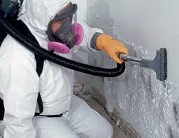 Best Post-Construction Mold Inspection  in Tahoe Vista, CA